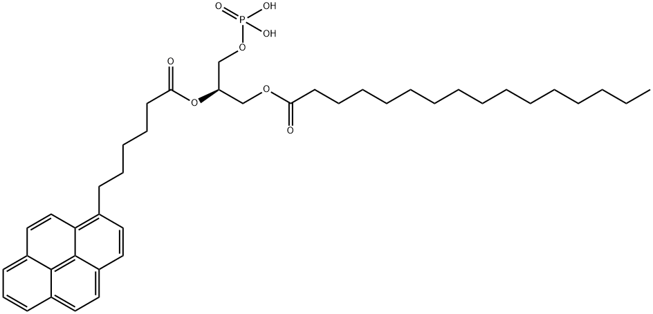 1-palmitoyl-2-(6-(pyren-1-yl)hexanoyl)-sn-glycero-3-phosphatidic acid