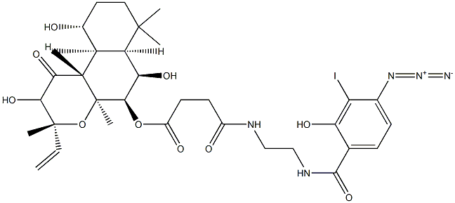 3'-iodo-4'-azidosalicylamidoethylamido-7-succinyldeacetylforskolin