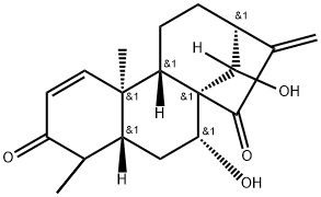 LIANGSHANIN A