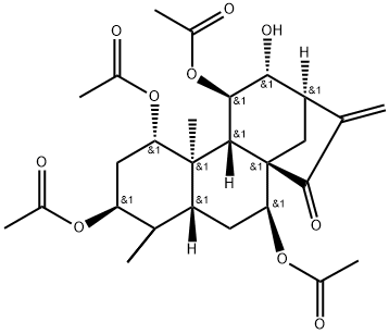 BULLEYANIN