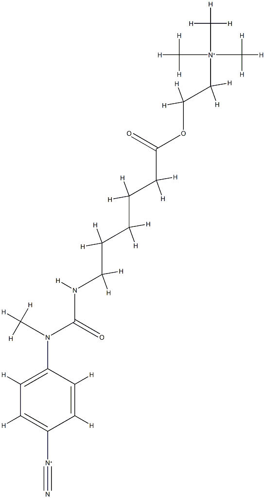 (N'-methyl,N'-4-diazonium phenyl)(N-6-hexanoic acid, 2-(trimethylammonium)ethyl ester)urea