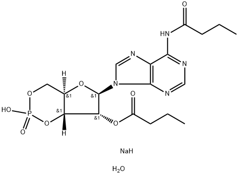 N-6,O-2'-DIBUTYRYLADENOSINE 3':5'-CYCLIC  MONOPHOSPHATE SODIUM SALT 1H2O, 98%