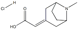 2-{8-甲基-8-氮杂双环[3.2.1]辛基-3-亚基}乙酸盐酸盐