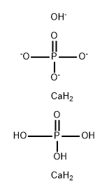 Ceratite