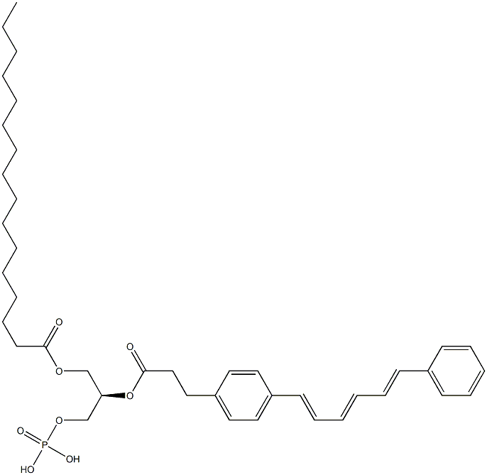 1-palmitoyl-2-((2-(4-(6-phenyl-1,3,5-hexatrienyl)phenyl)ethyl)carbonyl)-3-phosphatidic acid