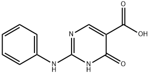 4-hydroxy-2-(phenylaMino)pyriMidine-5-carboxylic acid