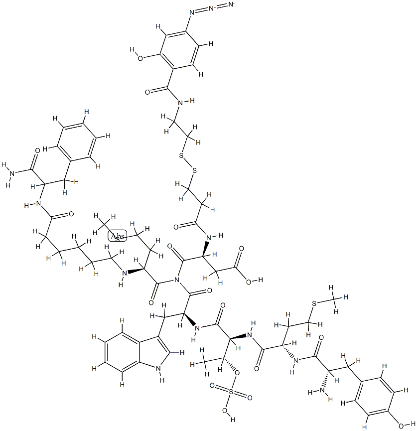 cholecystokinin (25-33),2-(4-azidosalicylamido)-1,3-dithiopropionate(Thr(28)-AHX(31))-