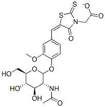 5-[4-(3-甲氧基-苯甲烯-绕丹宁)]-3-乙酸铵-N-乙酰氨基-Β-D-葡萄糖苷 (VRA-NAG)