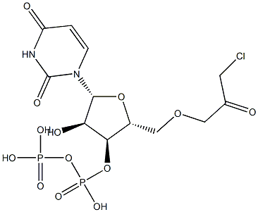 uridine 5'-diphosphate chloroacetol