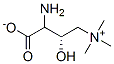 (S)-氨基酸肉碱