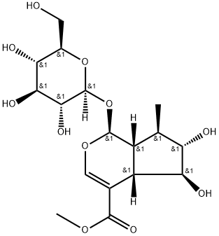 6β-hydroxyl-7-epi-loganin