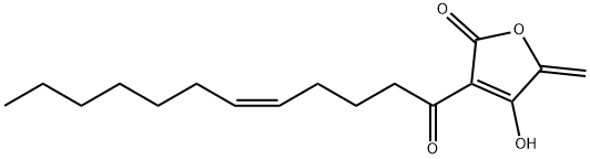 agglomerin B
