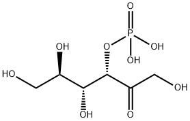 fructose 3-phosphate