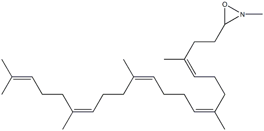 squalene N-methyloxaziridine