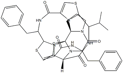 lissoclinamide 8