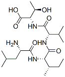 leucyl-isoleucyl-valyl-threonine binding protein