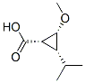 Cyclopropanecarboxylic acid, 2-methoxy-3-(1-methylethyl)-, (1alpha,2ba,3ba)- (9CI)