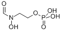 fosfoxacin