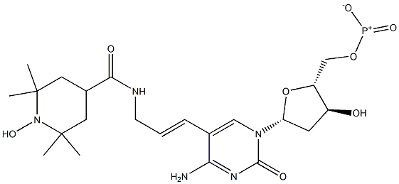 5-(3-(2,2,6,6-tetramethyl-1-oxy-piperidine-4-carboxamido)prop-1-enyl)-2'-deoxycytidine 5'-triphosphate