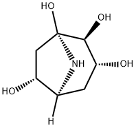 卡利斯蒂纳B1