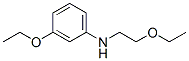 Benzenamine, 3-ethoxy-N-(2-ethoxyethyl)- (9CI)