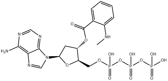 2'- DEOXY- 3'- O- (N'- METHYLANTHRANILOYL)ADENOSINE- 5'- O- TRIPHOSPHATE ( MANT-DATP )
