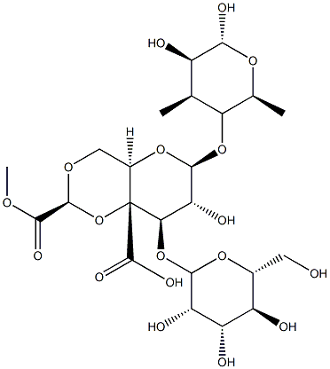 exopolysaccharide, Pseudomonas