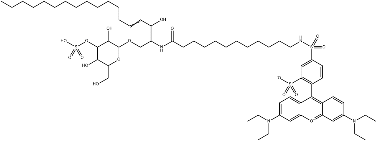 N-lissamine rhodaminyl-(12-aminododecanoyl)cerebroside 3-sulfate
