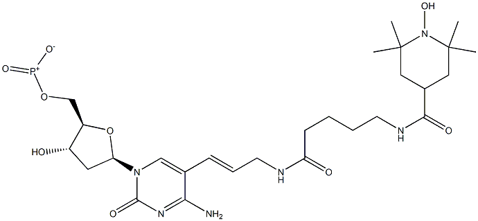 5-(3-(5-(2,2,6,6-tetramethyl-1-oxypiperidine-4-carboxamido)pentanamido)prop-1-enyl)-2'-deoxycytidine 5'-triphosphate