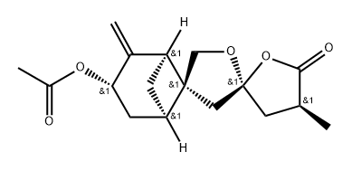EXPANSOLIDEA
