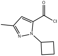 1H-Pyrazole-5-carbonyl chloride, 1-cyclobutyl-3-methyl- (9CI)