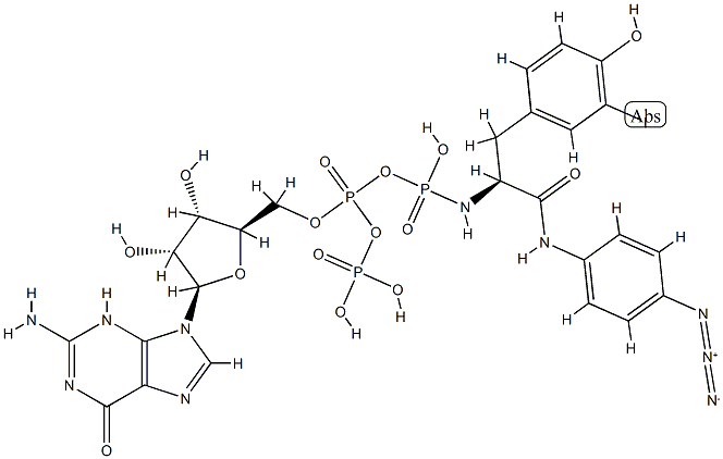 guanosine 5'-(trihydrogen diphosphate)-N-(4-azidophenyl)-2-phosphoramido-3-(4-hydroxy-3-iodophenyl)propionamide monoanhydride