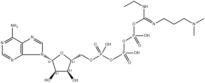 adenosine triphosphate-1-ethyl-3-(3-(dimethylamino)propyl)carbodiimide