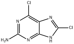 2-氨基-6.8-二氯嘌呤