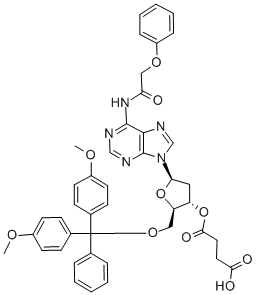 5'-O-(4,4'-DIMETHOXYTRITYL)-N6-PHENOXYACETYL-2'-DEOXYADENOSINE-3'-O-SUCCINIC ACID