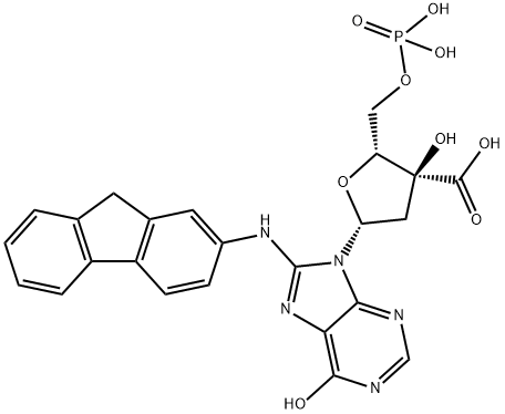 C8-(N2-aminofluorenyl)deoxyguanosine-3',5'-diphosphate