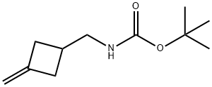 Carbamic acid, [(3-methylenecyclobutyl)methyl]-, 1,1-dimethylethyl ester (9CI)