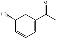 Ethanone, 1-(5-hydroxy-1,3-cyclohexadien-1-yl)-, (R)- (9CI)