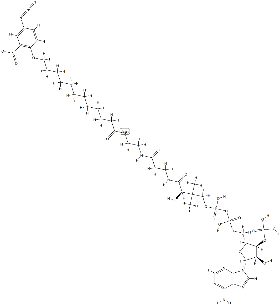 [(2R,3R,4R,5R)-5-(6-aminopurin-9-yl)-2-[[[[(3R)-3-[2-[2-[12-(4-azido-2 -nitro-phenoxy)dodecanoylsulfanyl]ethylcarbamoyl]ethylcarbamoyl]-3-hyd roxy-2,2-dimethyl-propoxy]-hydroxy-phosphoryl]oxy-hydroxy-phosphoryl]o xymethyl]-4-hydroxy-oxolan-3-yl]oxyphosphonic acid
