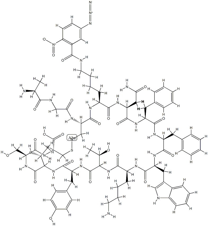 somatostatin, azidonitrobenzoyl-Lys(4)-iodo-Tyr(11)-