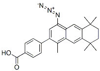 4-(4-azido-5,6,7,8-tetrahydro-1,5,5,8,8-pentamethyl-2-anthracenyl)benzoic acid