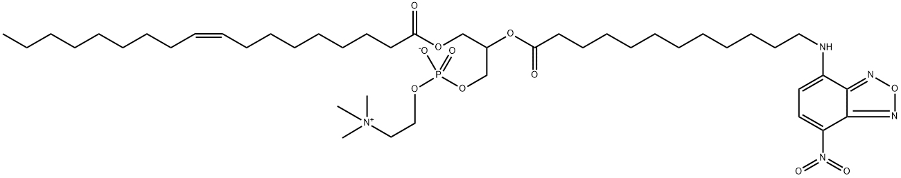 1-oleoyl-2-(12-((7-nitro-2,1,3-benzoxadiazol-4-yl)amino)dodecanoyl)phosphatidylcholine