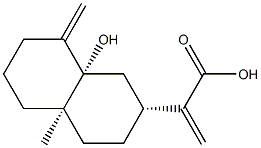 5Β-HYDROXYCOSTIC ACID