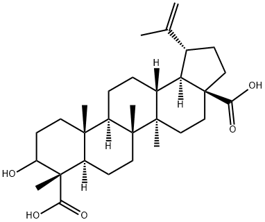 3-hydroxylup-20(29)en-23,28-dioic acid