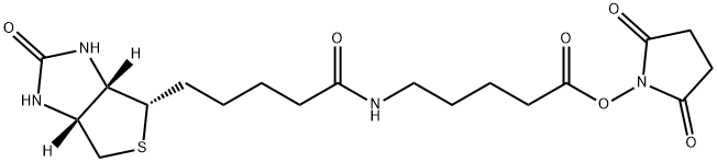 1H-Thieno[3,4-d]iMidazole-4-pentanaMide, N-[5-[(2,5-dioxo-1-pyrrolidinyl)oxy]-5-oxopentyl]hexahydro-2-oxo-, (3aS,4S,6aR)-