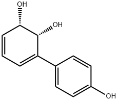 3,5-Cyclohexadiene-1,2-diol, 3-(4-hydroxyphenyl)-, (1S-cis)- (9CI)