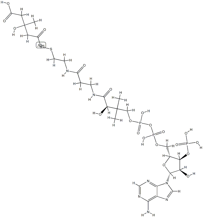 3-hydroxy-3-methylglutaryldithio-coenzyme A