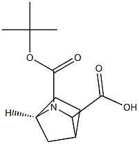 2-Azabicyclo[2.2.1]heptane-2,3-dicarboxylic acid, 2-(1,1-diMethylethyl) ester, (1R-endo)- (9CI)
