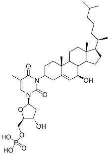 3-(7 beta-hydroxycholesteryl) 5'-thymidylyl monophosphate