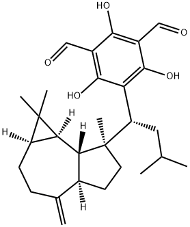 MACROCARPAL C